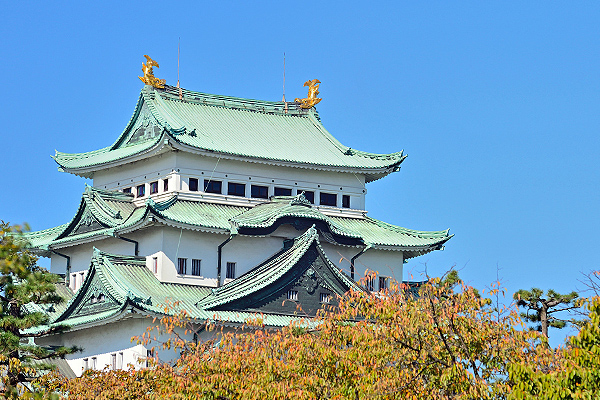 NAGOYA Branch（東海）